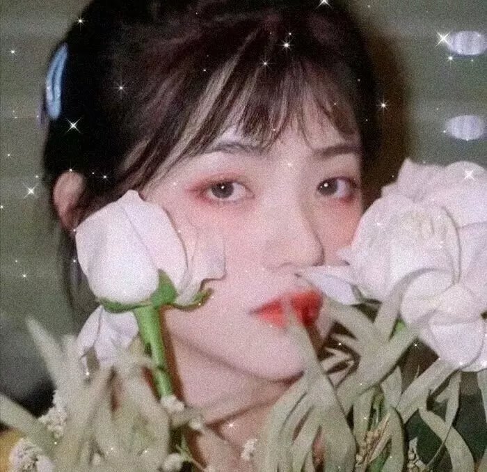 偶然的田园日记封面