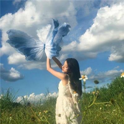 亲爱的总统夫人封面